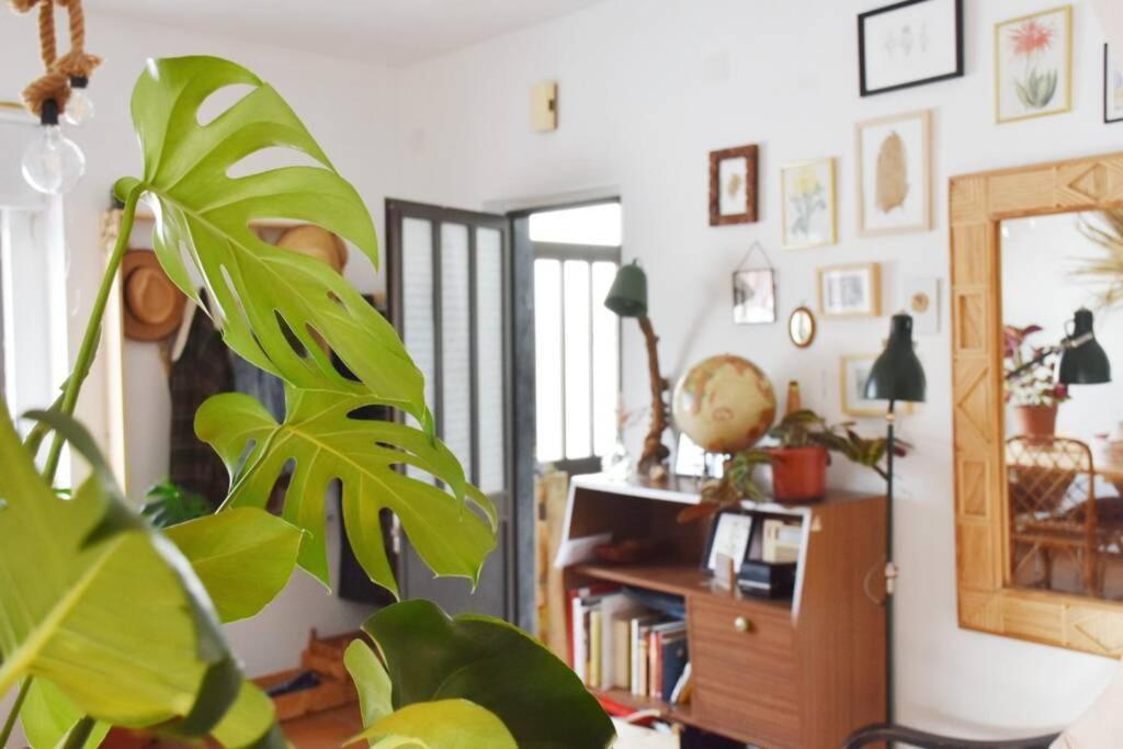 Bamboo House Aljezur Apartamento Exterior foto